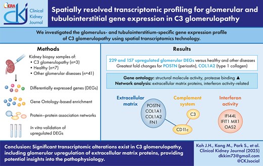 Graphical Abstract