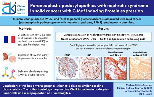 Paraneoplastic Paraneoplastic podocytopathies with nephrotic syndrome in solid cancers ...
