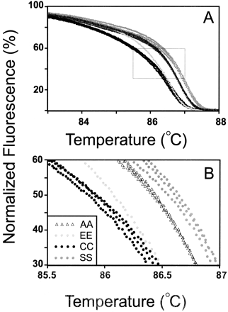 Melting curve genotyping of homozygous β-globin sequence variants AA, EE, CC, and SS.