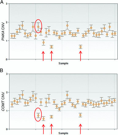 CNV values for 40 samples showing the presence of an individual with a 1.5-Mb deletion (red circle) and of 3 individuals with a 3-Mb deletion (arrows). SE bars of 95% CI are shown for each sample.