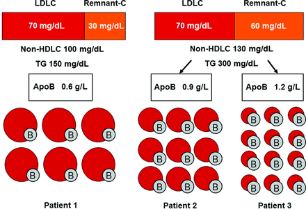 Patient 1 has all 3 targets at goal and normal numbers of (predominantly larger sized) LDL particles. Patient 2 with moderate hypertriglyceridemia has discordant non-HDLC above target (100 mg/dL; 2.6 mmol/L) because of increased Remnant-C. Patient 3 also has moderate hypertriglyceridemia and increased Remnant-C but concurrently higher apoB concentration than patient 2 because of a high number of small dense LDL particles not detected by standard LDLC measurement.