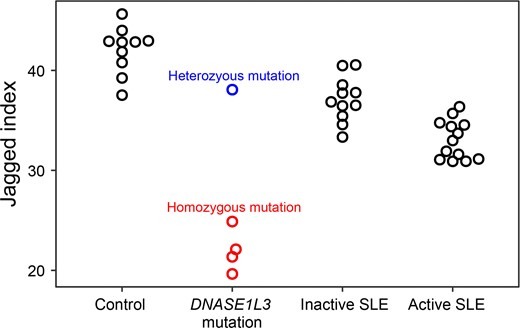 The jaggedness of cfDNA in healthy human control subjects and patients with SLE. Boxplot shows jagged index values of plasma DNA over 200 bp among healthy human subjects (n = 10), patients with DNASE1L3 mutation. Blue and red dots represent the subject carrying the heterozygous DNASE1L3 mutation (n = 1) and subjects carrying the homozygous DNASE1L3 mutation (n = 4) from the familial SLE group, respectively; black dots represent patients with inactive SLE (n = 11) or patients with active SLE (n = 13).