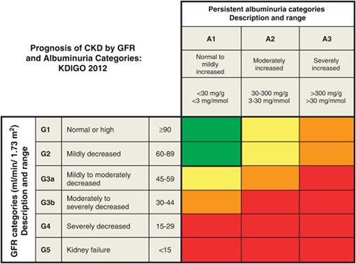 KDIGO prognosis heat map of albuminuria and eGFR classification. Green: low risk (if no other markers of kidney disease, no CKD); yellow: moderately increased risk; orange: high risk; red, very high risk. Reprinted from Kidney International Supplements, Volume 3, Issue 1, KDIGO 2012 Clinical Practice Guideline for the Evaluation and Management of Chronic Kidney Disease/Summary of Recommendation Statements, Page 6, (2013), with permission from Elsevier.