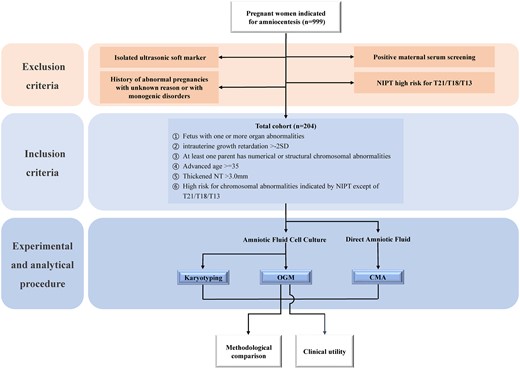 Flow chart of the cohort design. Pregnant women indicated for amniocentesis were screened according to the exclusion and inclusion criteria. Acquired AF from eligible pregnant women was subjected to CMA, OGM, and KT tests. The data obtained from CMA, OGM, and KT were used for methodological comparison and evaluation of clinical utility of OGM. Color figure available at https://dbpia.nl.go.kr/clinchem.