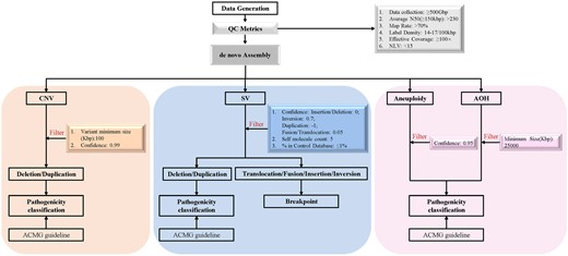 Work flow of OGM variant calling and data analysis. De novo genome map assembly of the data passing the QC metrics was performed. After filtering, variants (SVs, CNVs, aneuploidies, and absence of heterozygosity) were classified according to the American College of Medical Genetics and Genomics guidelines or breakpoint analysis approach separately. Color figure available at https://dbpia.nl.go.kr/clinchem.
