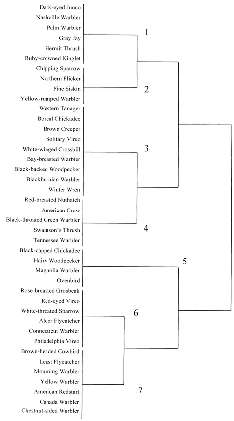 Dendrogram showing results of TWINSPAN analysis. When species are closer together on the axis, they are more likely to be found in the same forest stands