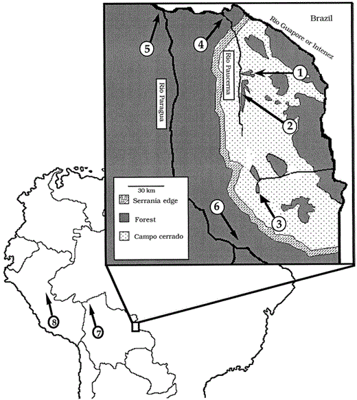 Sample localities at two geographic scales in western Amazonia. Sites 1–8 were sampled for all five taxa. Sites 1–6 are the local-level study sites; sites 7 and 8 provide a regional perspective to genetic structure, as they lie in a different avian area of endemism from sites 1–6 (see text). The inset is of the Serranía de Huanchaca region of the Department of Santa Cruz, Bolivia. Sites 1–3 lie in forest fragments on top of this plateau, sites 4–6 lie in continuous forest below the plateau. Exact locations are: Site 1, 21 km SE of Catarata Arco Iris (13°55′S, 60°45′W); Site 2, 25 km S of Catarata Arco Iris (13°55′S, 60°45′W); Site 3, ca. 45 km E of the town of Florida (14°34′S, 60°40′W); Site 4, west bank of the Río Paucerna, 4 km upstream from its confluence with the Río Itenez (13°43′S, 61°11′W); Site 5, Piso Firme (13°35′S, 60°55′W); Site 6, Los Fierros, 30 km E Aserradero Moira (14°25′S, 61°10′W); Site 7, BOLIVIA, Depto. Pando; ca. 12 km by road S Cobija, ca. 8 km W on road to Mucden (11°9′S, 68°58′W); Site 8, PERU, Depto. Ucuyali; ca. 65 km ENE Pucallpa, (8°8′S, 74°2′W). Additional data on these sites can be found in Bates et al. (1991, 1992), O'Neill et al. (1991), and Parker and Remsen (1987)
