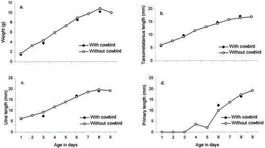 Chipping Sparrow growth (a. weight, b. tarsometatarsus length, c. ulna length, d. length of outermost primary) in nests with and without a Brown-headed Cowbird nestling. Growth is based upon measurements of 75 individuals in 24 unparasitized nests and 6 individuals in 4 parasitized nests