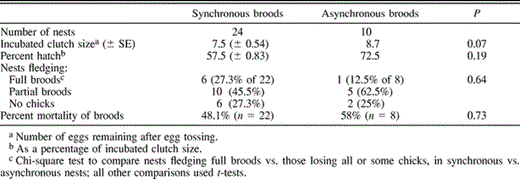 Nesting characteristics and chick mortality patterns in synchronously and asynchronously hatching broods of Guira Cuckoos. Sample sizes reflect only nondepredated nests for which hatching dates of all chicks were known