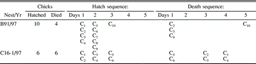 Sequence of chick hatching and dying in two asynchronously hatching broods. The letter “C” designates the chick's identity, and Day 1 refers to the first day that either hatching (Hatch sequence) or dying (Death sequence) occurred in the brood