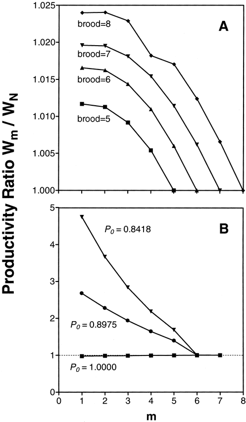 Productivity of asynchronously hatching clutches relative to synchronously hatching clutches (Wm/WN), as a function of egg on which incubation starts (m) and (A) brood size, with P0 = P1 = 0.9954, as calculated from the Nest Failure model; and (B) the daily probability of survival of nests prior to the onset of incubation (P0) for a clutch of 7. The value P0 = 0.8418 was derived from field experiments (Beissinger et al. 1998)