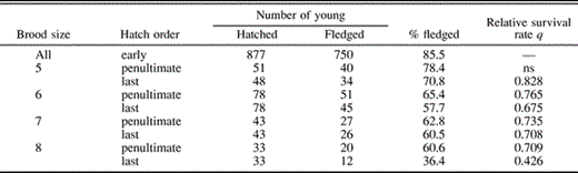 Survival rates of parrotlet chicks form unmanipulated nests in which at least one nestling fledged, as a function of brood size and hatching order. Survival rates of early-hatched (first through antepenultimate) chicks from different brood sizes do not differ in their survival rates (χ23 = 0.59, P > 0.10), and have been pooled. Where rates of penultimate or last-hatched chicks differed significantly from the rate for earlier-hatched chicks (based on χ2 tests with P ≤ 0.05, using program CONTRAST), the relative survival rate (q) is given