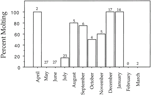 Monthly percentage of adult Pelagic Cormorants in molt from the Pacific coast of North America; sample sizes are above each bar (total n = 105)