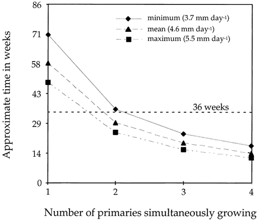 Differences in estimated time needed to grow all ten primaries for minimum, maximum, and mean growth rates plotted against the number of simultaneously growing feathers; the hatched line indicates the estimated 36-week period available to molt for adult Pelagic Cormorants from North America. Estimated time available to molt is based upon the monthly distribution of molting adults in the specimens we examined