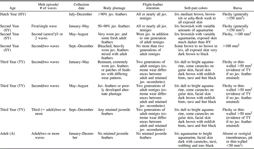 Criteria used to assign Pelagic Cormorants to age classes and molt episodes. Molt episodes are defined as first, second, and adult (third and subsequent) as described in the text. The arrest in molt indicated for SY birds during May–August is followed by a (?) because it is unclear whether all birds actually arrest their molts around the breeding season during juvenile feather replacement