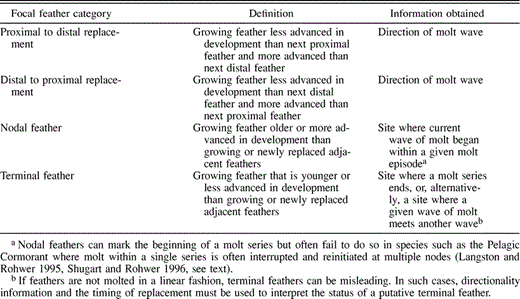 Definitions of the four focal feather categories used to determine the rules of feather replacement in Pelagic Cormorants; information obtained from each focal feather type indicates how we used them in our analyses