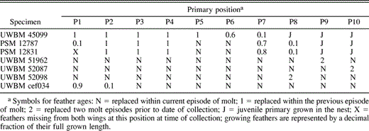Primary feather ages for selected Pelagic Cormorant specimens from North America and Asia