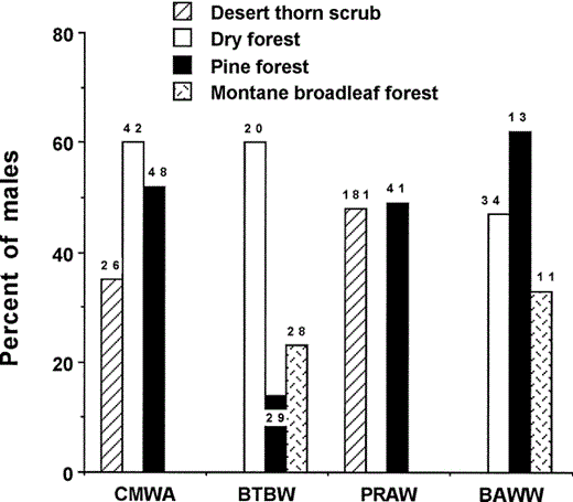 Percentage of male birds of four Neotropical migratory species captured in mist nets in four habitats in the Sierra de Bahoruco, Dominican Republic, 1996–2001. (CMWA = Cape May Warbler, BTBW = Black-throated Blue Warbler, PRAW = Prairie Warbler, BAWW = Black-and-white Warbler; scientific names are found in Table 1). Numbers above bars are sample sizes