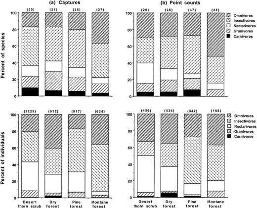 Frequency of five trophic groups of birds in four habitats of the Sierra de Bahoruco, Dominican Republic, 1996–2001, as measured by number of species (top graphs) or individuals (bottom graphs) that were (a) caught in mist nets or (b) detected in point counts. Numbers above bars are sample sizes