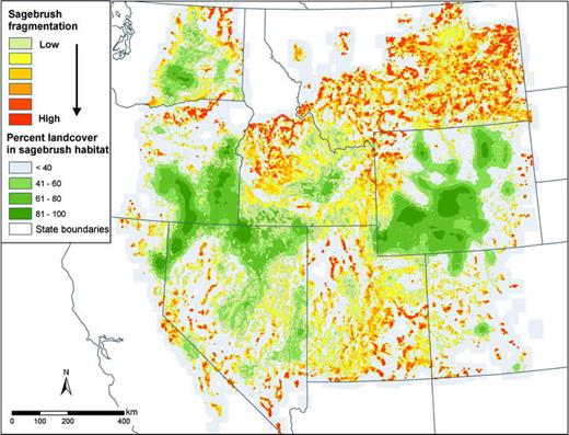 Small-scale patterns of habitat complexity indicate that much of the tall sagebrush distribution is highly fragmented and much less extensive than large-scale maps suggest. The map depicts the ratio of the percent of land cover containing tall sagebrush (Fig. 1) to the amount of perimeter with other habitats. Dark-green areas indicate extensive distribution of sagebrush as the dominant feature in the landscape (area is much larger than perimeter), grading into gray areas (small area, small perimeter), and crossing a threshold at which fragmentation of sagebrush patches (low area, high perimeter) becomes the dominant landscape feature. Small-scale measures of perimeter were estimated by resampling the base map (Comer et al. 2002) to 500-m resolution and measuring the proportion of total edge between sagebrush and other habitat patches within 2.5 km of each map cell