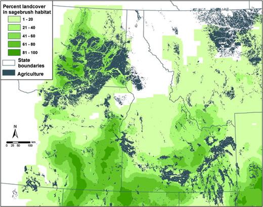 Agricultural lands in Washington, Oregon, and Idaho relative to large-scale patterns of sagebrush distribution. Crop production has fragmented or completely converted many sagebrush landscapes throughout the West.
