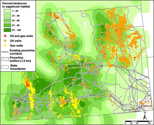 Existing oil and gas developments in Wyoming relative to large-scale patterns of sagebrush distribution. Powerlines were buffered by 1.5 km to reflect the increased risk of predation by raptors and corvids on sage-grouse and other species