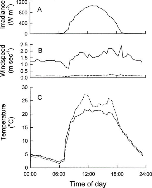 Mean weather conditions at Tioga Pass Meadow, California, July 1994, when field metabolic rates of nestling Mountain White-crowned Sparrows were determined with doubly labeled water. (A) Solar irradiance, (B) windspeed measured 1 m above ground in the open (solid line), and 0.5 m above ground inside a willow thicket (dashed line), (C) operative temperature measured 0.5 m above ground inside a willow thicket (dashed line), and shade air temperature measured 1 m above ground (solid line).
