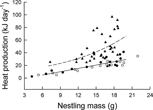 Relationship between nestling Mountain White-crowned Sparrow field metabolic rate (triangles and dashed line) and resting metabolic rate (solid line) measured during the daytime (filled circles) and nighttime (unfilled circles) and nestling body mass. Least-squares regression lines described by text equations 7 and 8