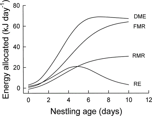 Energy expenditure of nestling Mountain White-crowned Sparrows as a function of age. RE = energy retained as new tissue, RMR = resting metabolic rate, FMR = field metabolic rate, and DME = daily metabolizable energy