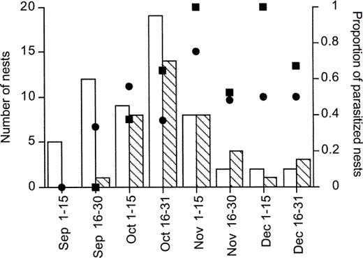 Seasonal patterns of nest availability and Shiny Cowbird parasitism in the Chalk-browed Mockingbird (open bars) and the Rufous-bellied Thrush (striped bars) in Buenos Aires Province, Argentina. Bars show the number of available nests through the breeding season. Black circles and squares show respectively the proportion of mockingbird and thrush nests that were parasitized in each period
