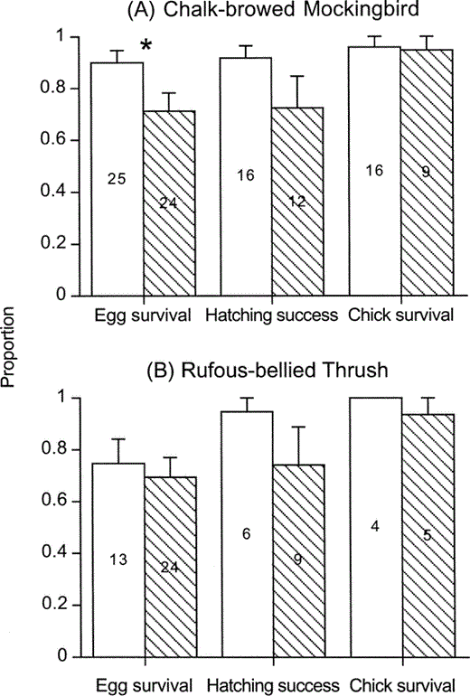 Proportions (mean ± SE) of host eggs that survived until hatching, host chicks that hatched, and host chicks that fledged in unparasitized (white bars) and parasitized (striped bars) nests of (A) the Chalk-browed Mockingbird and (B) the Rufous-bellied Thrush. Sample size (nests) is indicated at bar center