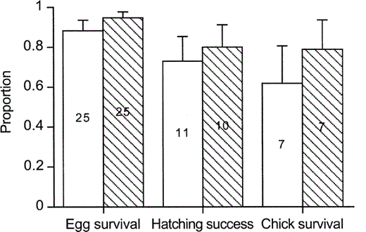 Proportions (mean ± SE) of parasite eggs that survived until hatching, parasite chicks that hatched, and parasite chicks that fledged in nests of the Chalk-browed Mockingbird (white bars) and the Rufous-bellied Thrush (striped bars). Sample size (nests) is indicated at bar center