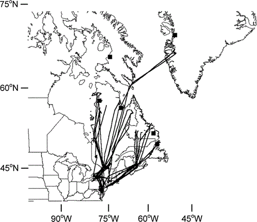 Spring migration routes of Canada Geese from breeding populations within the Atlantic Population, North Atlantic Population, and Greenland recorded using satellite telemetry. Filled squares indicate sampling locations from Figure 1