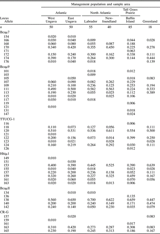 Estimates of allele and haplotype frequency and levels of genetic variability for six samples of Canada Geese. Alleles are designated by size (in base pairs)