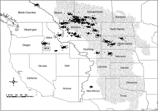 Location estimates of 31 satellite-tracked female Prairie Falcons within their summer use areas. Summer use areas are defined as clusters of locations that included least 10 consecutive days between 1 July and 15 September. The rectangle depicts the general location of the Snake River Birds of Prey National Conservation Area (NCA). Gray line represents the Continental Divide, and the stippled area depicts the Great Plains