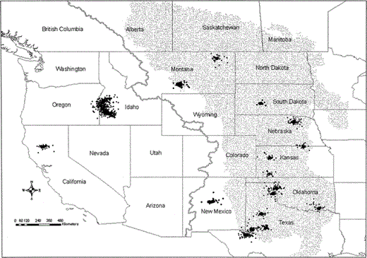 Location estimates of 27 satellite tracked female Prairie Falcons within their winter use areas August 1999–February 2003. Use areas are defined as clusters of locations that included at least 10 consecutive days between 10 December and 30 January. Gray line represents the Continental Divide, and the stippled area depicts the Great Plains