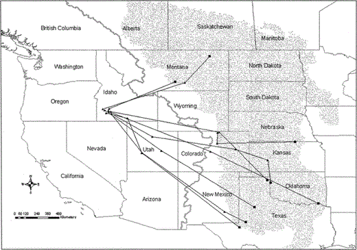 Routes used by nine Prairie Falcons to return to NCA nesting areas from wintering areas east of the Continental Divide in February and March, 2000–2003. Black squares depict the best location estimates for the final transmission periods in winter use areas. Solid triangles depict the best location estimates for transmission periods during and at the end of the travel period. Gray line represents the Continental Divide, and the stippled area depicts the Great Plains