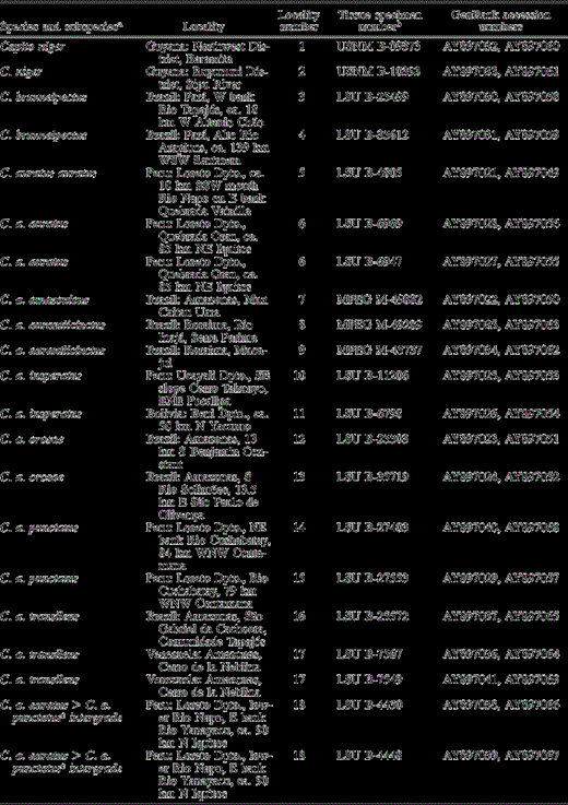 Species and subspecies analyzed, including localities, specimen voucher information, and GenBank accession numbers. Locality number refers to the numbers found on the map in Figure 1. Taxon names are based on locality and assessment of museum voucher skins