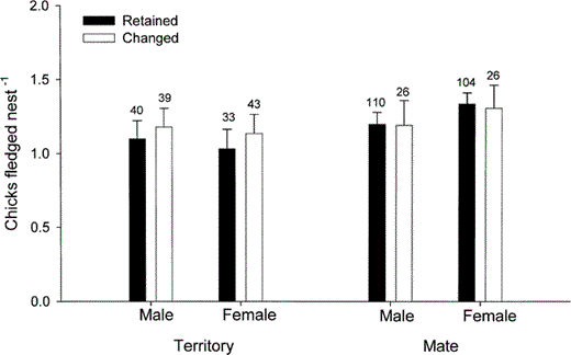 The number of chicks fledged per nest following retention or change in territory or mate in male and female Yellow-eyed Penguins. Data are presented as means ± SE with sample sizes indicated above each error bar