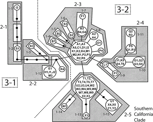 Figure 3. Nested haplotype network for White-headed Woodpeckers. Each branch represents a single base mutation. Black circular nodes represent unsampled haplotypes; lettered nodes represent sampled haplotypes. Each letter with subscript number represents a single individual from its corresponding locality (Fig. 1, Appendix). One-step clades are contained within white boxes, two-step clades within shaded boxes, three-step clades with a dashed line, and the total cladogram is one four-step clade