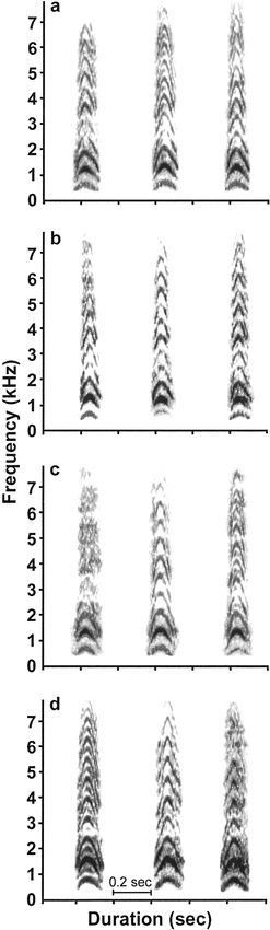 Figure 2. Spectrograms of the inflected alarm caws of four individual American Crows. The three caws from each individual were recorded on three different days (the spacing between the caws is not meaningful). Two individuals are males (a: m2K; b: m8B) and two individuals are females (c: f1Z; d: f9O)