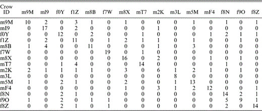 Number of inflected alarm caws assigned to each individual crow by a discriminant function analysis using the 20 significant acoustic measurement variables identified during a prior stepwise removal process. Individuals are referred to by the first two letters or numbers of their individual tag names preceded by m for males and f for females (Table 1). The sample of calls analyzed is n = 20 for all individuals except m3L, where n = 8