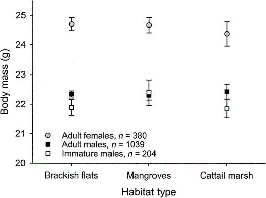 Figure 3. Body mass of Western Sandpipers with respect to sex and age class and habitat type in Bahía Santa María, northwestern Mexico, during the nonbreeding seasons of 1999–2001. Least-squares means (±95% CI) are shown controlling for seasonal and annual variation, and interaction terms