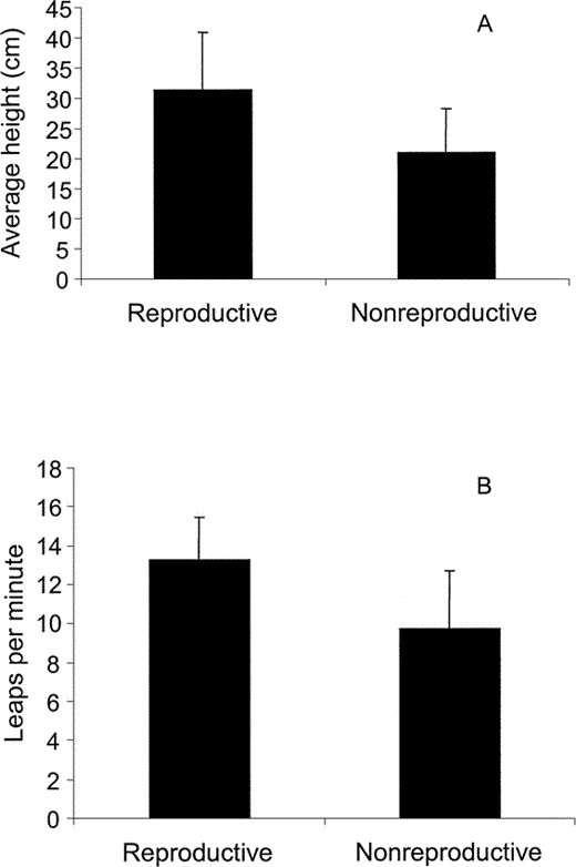 Figure 1. Characteristics of courtship displays of successfully reproducing Blue-black Grassquit males (reproductive) and males that did not have nests (nonreproductive) in Fazenda Água Limpa, Brazil: (A) mean height (± SE) of display leaps, and (B) mean display frequency (± SE)