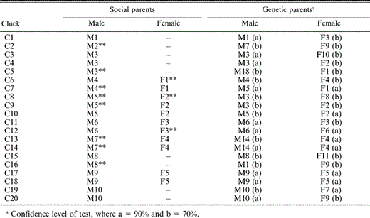 Identity of social parents (those providing parental care at the nest) and genetic parents (identified through genetic analysis using six loci) of Blue-black Grassquit nestlings in central Brazil. Letters preceding numbers identify all individuals (C = chick, M = male, F = female). Two asterisks (**) after the individual's identification code indicate cases where social parentage does not coincide with genetic parentage