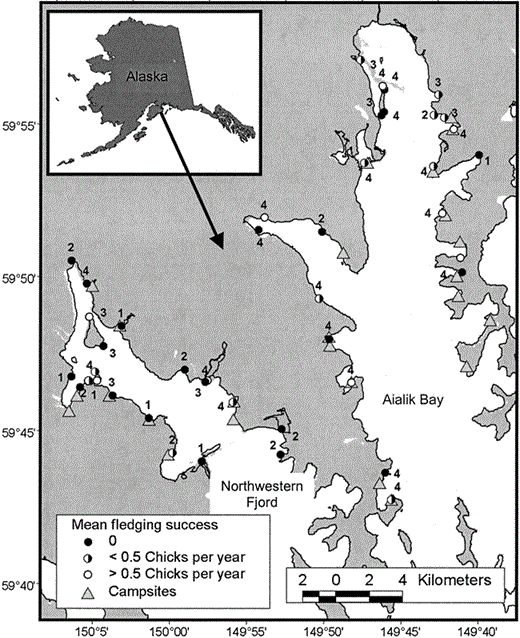 Figure 1. Kenai Fjords National Park location and study area, and fledging success of all Black Oystercatcher breeding territories monitored from 2001 to 2004. The number beside each territory indicates the number of years (max. = 4) the site was occupied