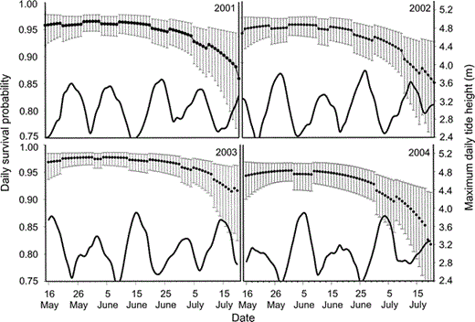 Figure 3. Comparison of daily survival rates of Black Oystercatcher nests and maximum daily tide height at Kenai Fjords National Park, Alaska, 2001–2004. Model-averaged estimates ± 95% CI of daily nest survival generated for each year. Solid line represents the highest tide height observed for each day in each year