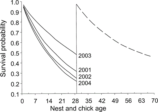 Figure 4. Cumulative survival curves for Black Oystercatcher nests (solid lines) and broods (dashed line) in Kenai Fjords National Park, Alaska, 2001–2004. The vertical line represents hatching; estimates are based on a mean hatching date of 13 June for all years (including renests). Values are the product of model-averaged daily survival estimates for nests, and daily survival estimates derived from the best model for broods