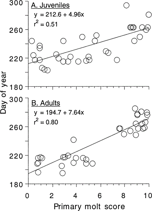 Figure 2. Regression of day of year on primary molt score for a) molting juvenile and b) molting adult Ash-throated Flycatchers (Pimm 1976). Replacement of the 10 primaries requires 50 days in juveniles and 76 days in adults. Day 180 = 29 June and day 300 = 27 October. A molt score of 0 indicates no new feather has been produced and a molt score of 10 indicates that all 10 primaries have been replaced