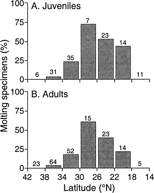Figure 3. Latitudinal distribution of primary feather molt in a) juvenile and b) adult Ash-throated Flycatchers. Breeding populations occur as far north as 42°N. The Mexican monsoon region occurs from about 20–37°N. Sample sizes are shown above bars